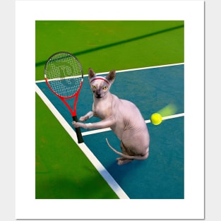 Sphynx Hairless Cat Playing Tennis Posters and Art